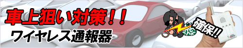 車上狙い対策