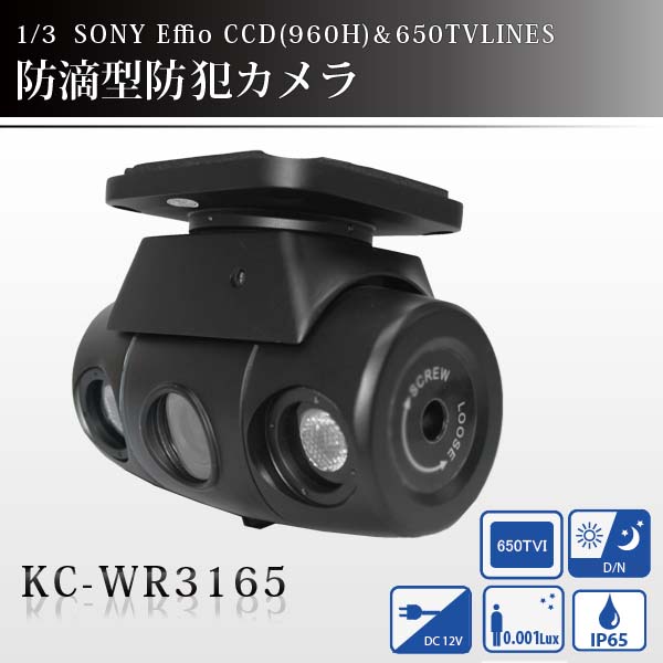 1/3 SONY Effio CCD搭載 高性能 防犯カメラ