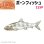 画像1: コレクションピン ボーンフィッシュ 215P ハンドペイント ソトイワシ 鰯 魚 ピンズ バッチ スズ ピューター ピンバッジ (1)