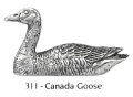 ピンバッジ カナダガン 311 ガン カモ 鴨 かも canada goose ピンズ バッチ スズ シルバー ピューター ブローチ バッジ バッヂ【ゆうパケット発送可】