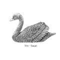 ピンバッジ ハクチョウ 316 白鳥 swan スワン ピンズ バッチ スズ シルバー ピューター ブローチ バッジ バッヂ
