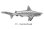 画像1: ピンバッジ シュモクザメ 251 撞木鮫 ハンマーヘッド シャーク 鮫 さめ 魚 ピンズ バッチ スズ シルバー ピューター ブローチ バッジ バッヂ (1)