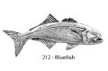 ピンバッジ ブルーフィッシュ 212 オキスズキ 魚 ピンズ バッチ スズ シルバー ピューター ブローチ バッジ バッヂ【ゆうパケット発送可】