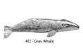 ピンバッジ グレイ ホエール 482 コク クジラ 克鯨 ピンズ バッチ スズ シルバー ピューター ブローチ バッジ バッヂ