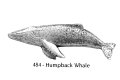 ピンバッジ ザトウ クジラ 484 座頭鯨 Megaptera novaeangliae ピンズ バッチ スズ シルバー ピューター ブローチ バッジ バッヂ【ゆうパケット発送可】