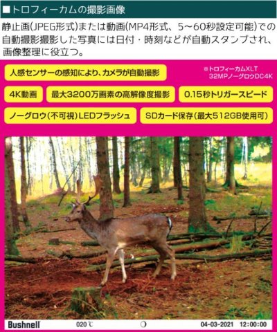 画像6:  Bushnell 屋外型 センサーカメラ トロフィーカム 24MPプライムCOMBO SDカード 16GB 単三電池 6本セット トレイルカメラ 防犯カメラ 