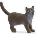 ブリティッシュショートヘア