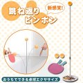 卓球 練習 1人 トレーニング ラケット 2個 ピンポン玉 3個 付き【メーカー直送品】