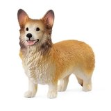 ウェルシュ・コーギー