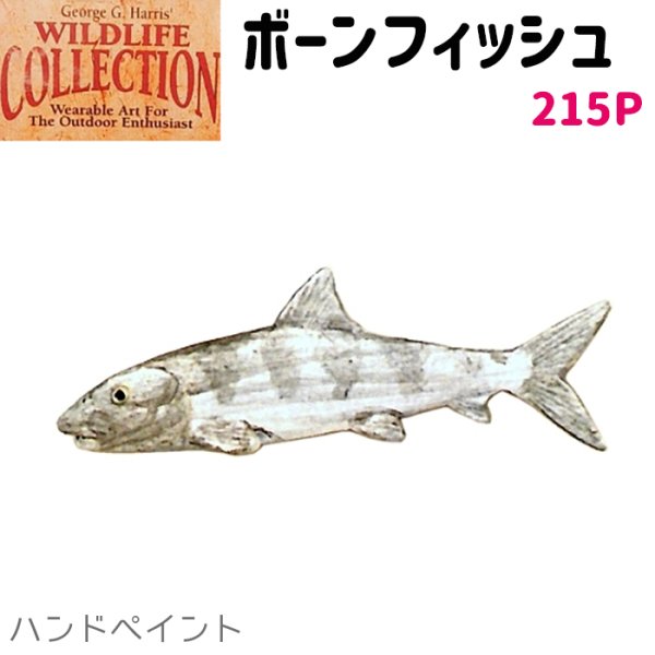 画像1: コレクションピン ボーンフィッシュ 215P ハンドペイント ソトイワシ 鰯 魚 ピンズ バッチ スズ ピューター ピンバッジ (1)