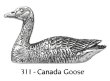 画像1: ピンバッジ カナダガン 311 ガン カモ 鴨 かも canada goose ピンズ バッチ スズ シルバー ピューター ブローチ バッジ バッヂ (1)