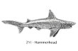 画像1: ピンバッジ シュモクザメ 251 撞木鮫 ハンマーヘッド シャーク 鮫 さめ 魚 ピンズ バッチ スズ シルバー ピューター ブローチ バッジ バッヂ (1)