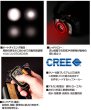 画像3: Bushnell ルビコン ヘッドライト 125RG 125ルーメン フラッシュライト LED ブッシュネル (3)